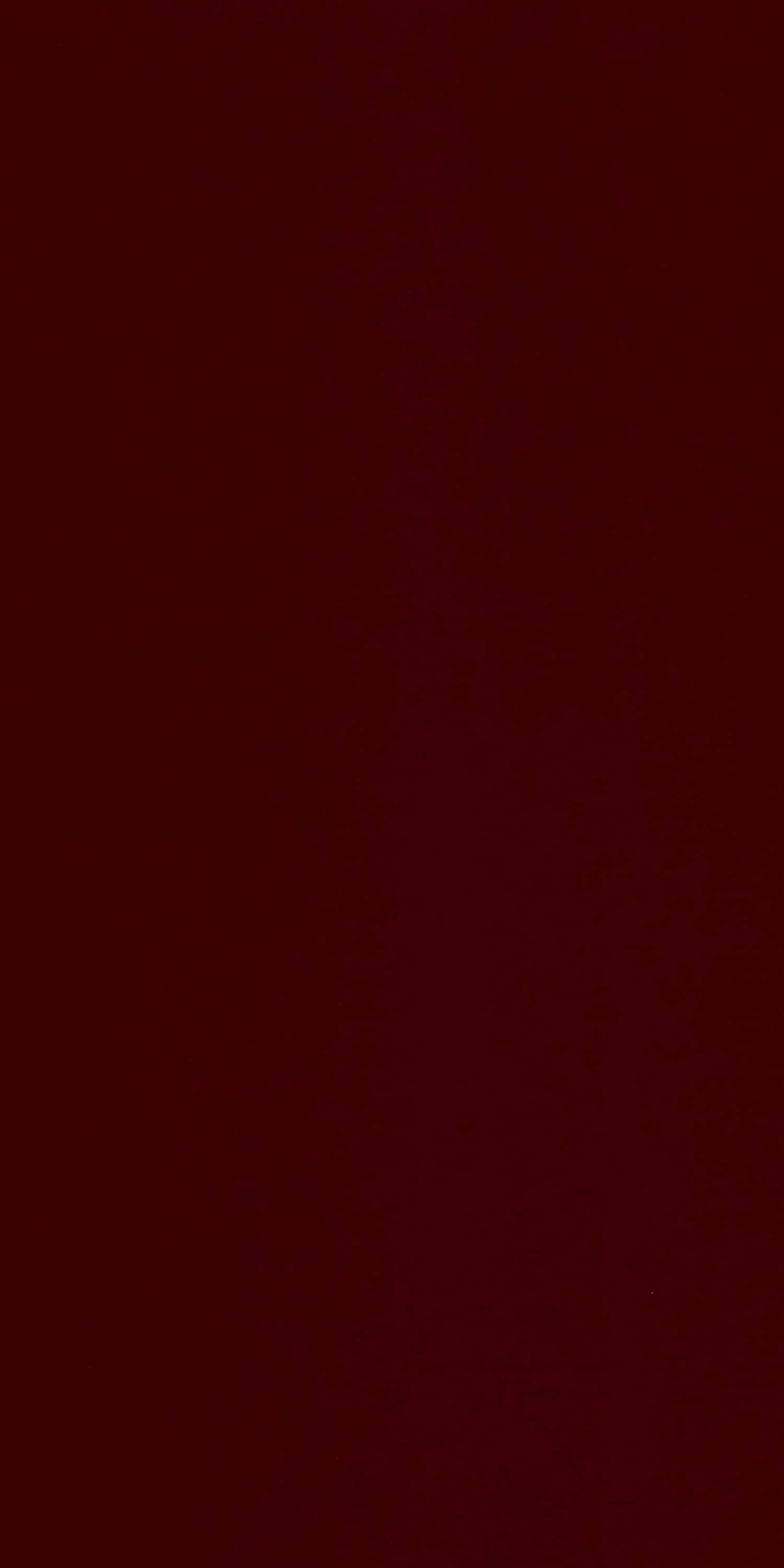 VINTAGE BURGUNDY